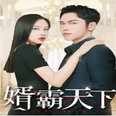 婿霸天下（100集）全集完整版看短剧资源-网剧资源-短剧网剧完整版-短剧网剧大结局桃文资源社