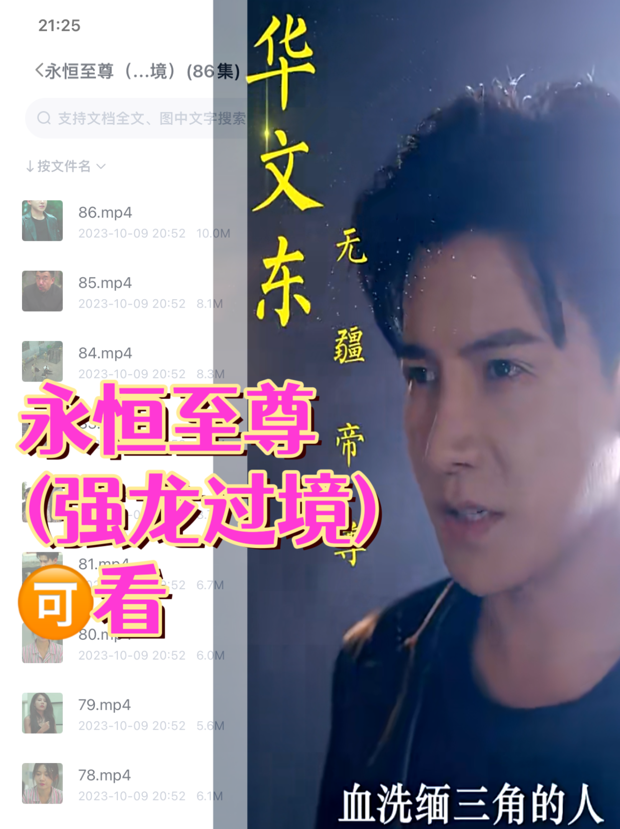 永恒至尊（强龙过境）(86集)全集完整版看短剧资源-网剧资源-短剧网剧完整版-短剧网剧大结局桃文资源社