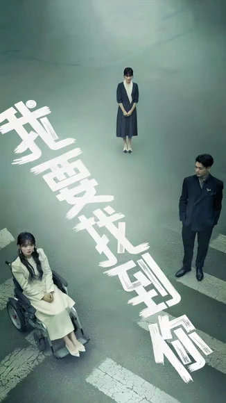 我要找到你(68集)全集完整版看短剧资源-网剧资源-短剧网剧完整版-短剧网剧大结局桃文资源社