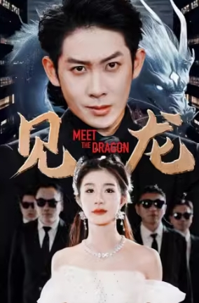 见龙（78集）全集完整版看短剧资源-网剧资源-短剧网剧完整版-短剧网剧大结局桃文资源社