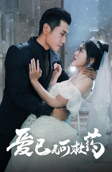 爱已无可救药（83集）黄波全集完整版看短剧资源-网剧资源-短剧网剧完整版-短剧网剧大结局桃文资源社