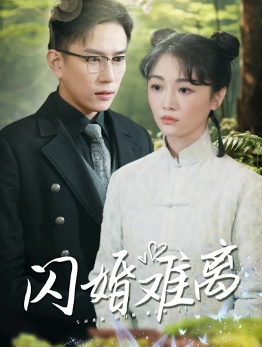 闪婚难离（82集）全集完整版看短剧资源-网剧资源-短剧网剧完整版-短剧网剧大结局桃文资源社