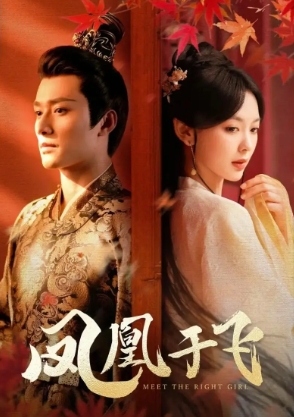 凤凰于飞（79集）全集完整版看短剧资源-网剧资源-短剧网剧完整版-短剧网剧大结局桃文资源社