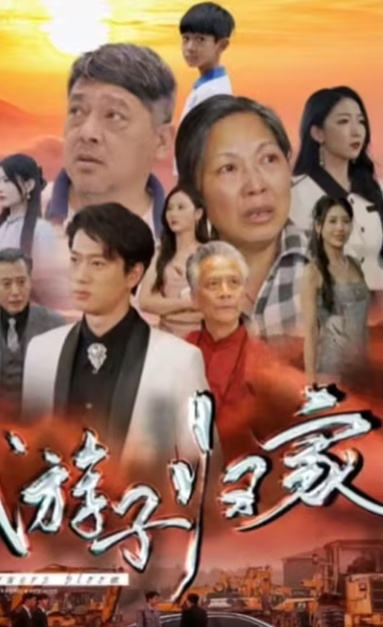 游子归家（88集）全集完整版看短剧资源-网剧资源-短剧网剧完整版-短剧网剧大结局桃文资源社